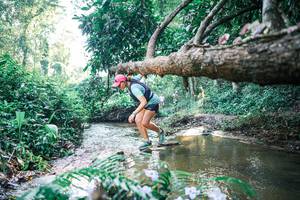 BIB: 
                            <button type="button" onclick="openModal(25437709)" class="btn btn-primary btn-sm float-right btn-popup" data-toggle="modal" data-target=".modal-high-quality">
                        <i class="fas fa-shopping-cart"></i> Add to Cart
                    </button>
                                            <button type="button" onclick="isThisMe(25437709, true)" class="btn btn-success btn-sm float-right btn-popup btn-isme hidden" data-toggle="tooltip" data-placement="bottom" title="นี่คือรูปของคุณใช่ไหม คลิกที่นี่เพื่อเอาเข้าอัลบั้ม">
                        <i class="fas fa-plus"></i> Add to album
                    </button>
                    <button type="button" onclick="isThisMe(25437709, false)" class="btn btn-warning btn-sm float-right btn-popup btn-isnotme hidden">
                        <i class="fas fa-ban"></i> Remove from album
                    </button>